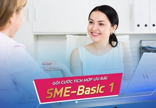 Gói cước tích hợp SME Basic 1 dành cho doanh nghiệp vừa và nhỏ của VNPT