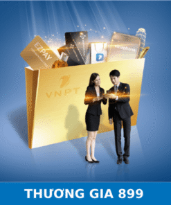 Đăng Ký VinaPhone Trả Sau Gói Cước Thương Gia 899