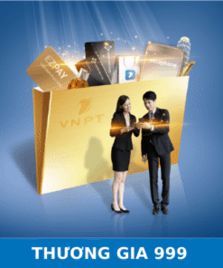 Đăng Ký VinaPhone Trả Sau Gói Cước Thương Gia 999