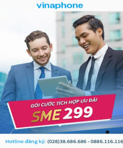 Gói vinaphone trả sau cho doanh nghiệp sme299