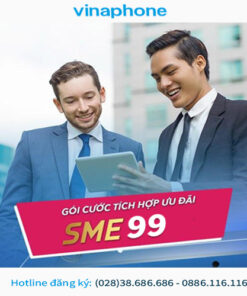 Gói vinaphone trả sau cho doanh nghiệp sme99