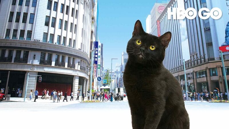Chú Mèo Ở Ginza S1 Ginza Cat S1