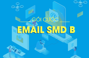 VNPT SMD B - gói cước email theo tên miền giá rẻ