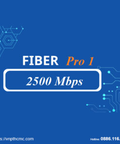 Gói internet tốc độ cao Pro1 VNPT 2.500Mbps